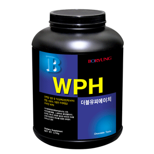[보령]WPH(가수분해유청단백) 2.5kg_초코
